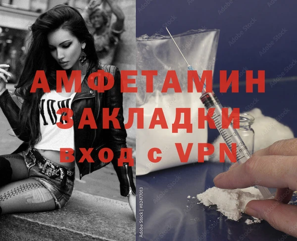 сатива Балахна