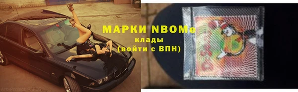 сатива Балахна
