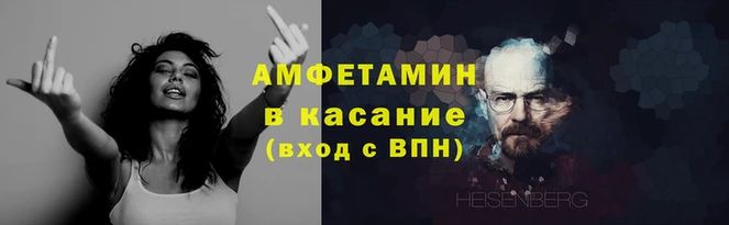 сатива Балахна