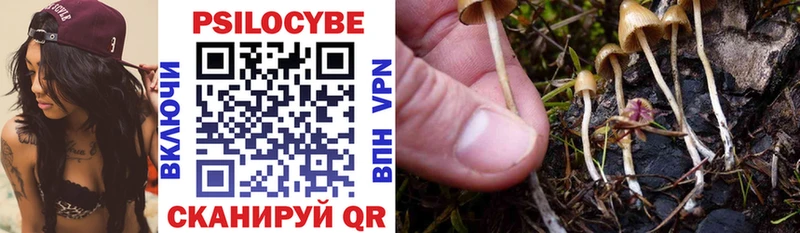 блэк спрут ONION  Гулькевичи  Псилоцибиновые грибы Psilocybe 