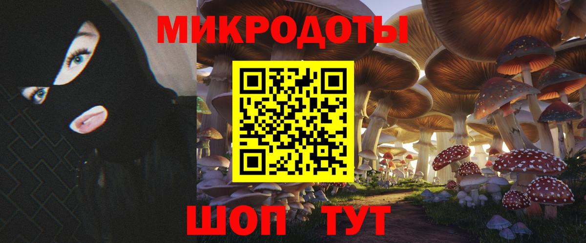 Гулькевичи  Галлюциногенные грибы Psilocybine cubensis  Вход с VPN 
