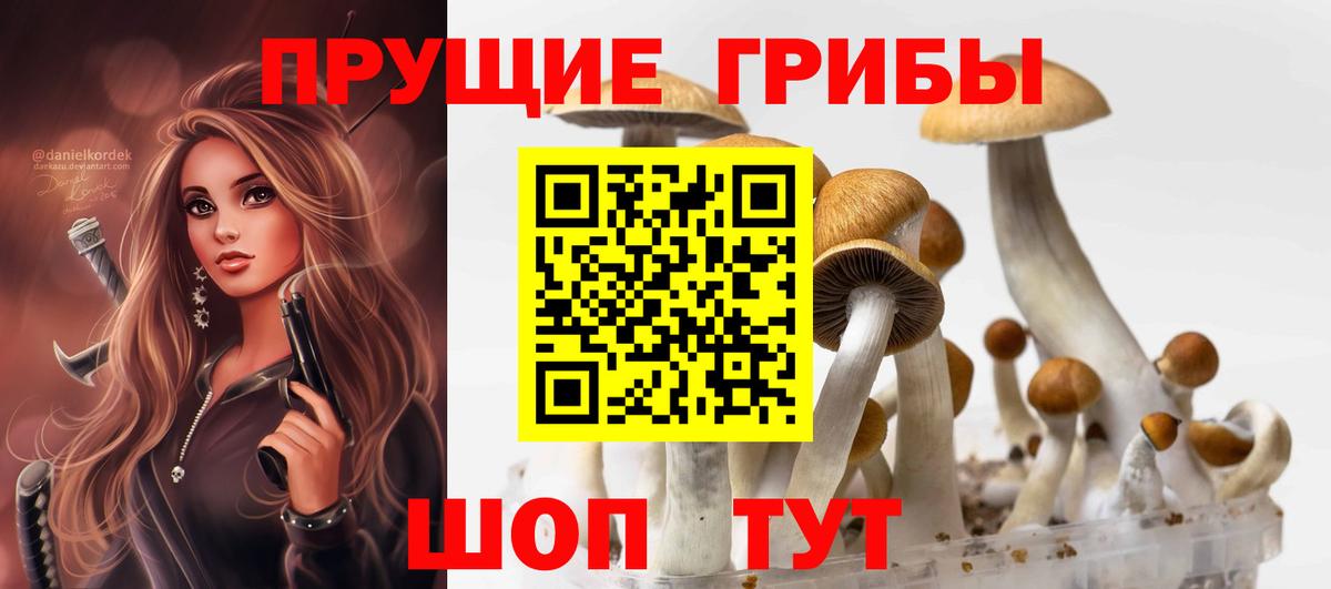 Галлюциногенные грибы Cubensis  Гулькевичи  Псилоцибиновые грибы мухоморы 