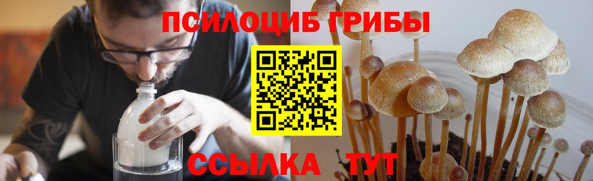 Галлюциногенные грибы ЛСД Гулькевичи